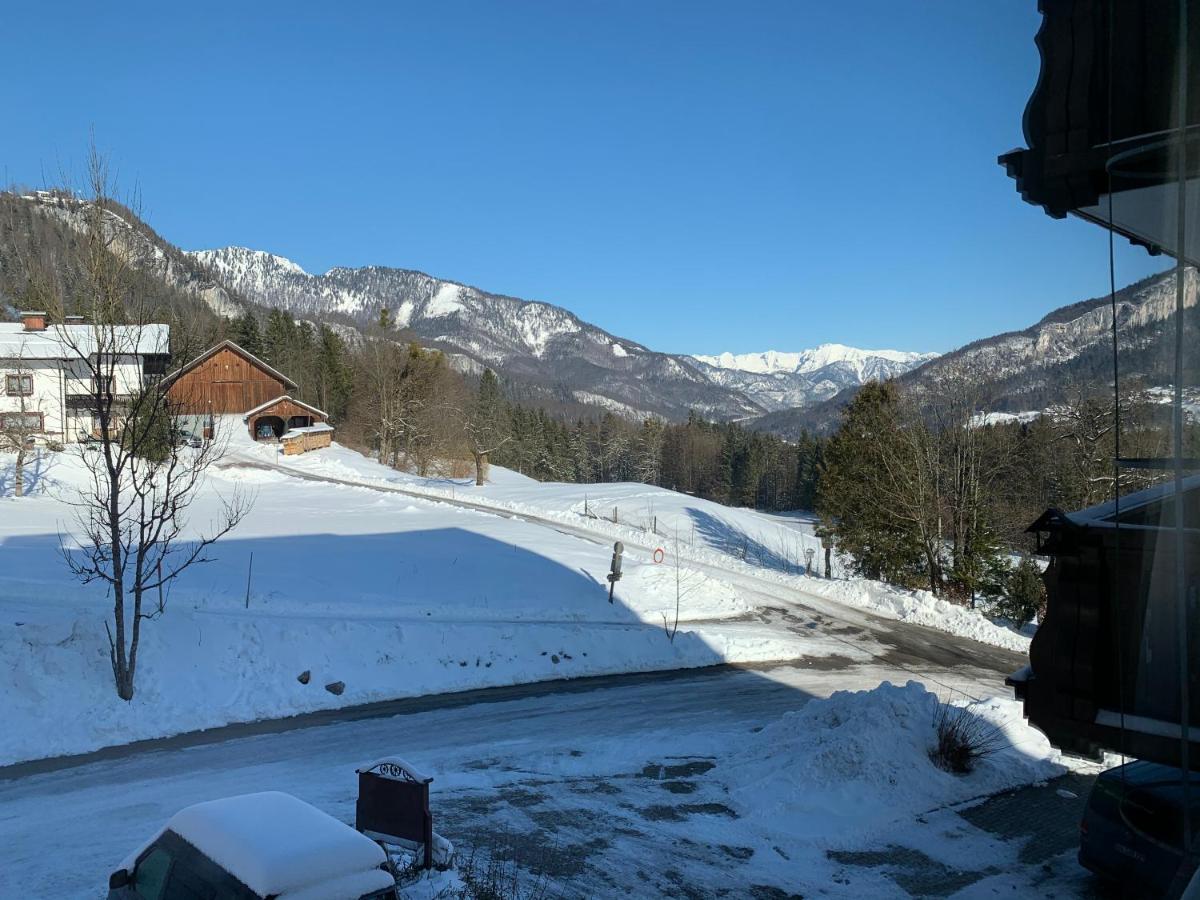 Alpenblick Suite バート・ゴイーザーン エクステリア 写真