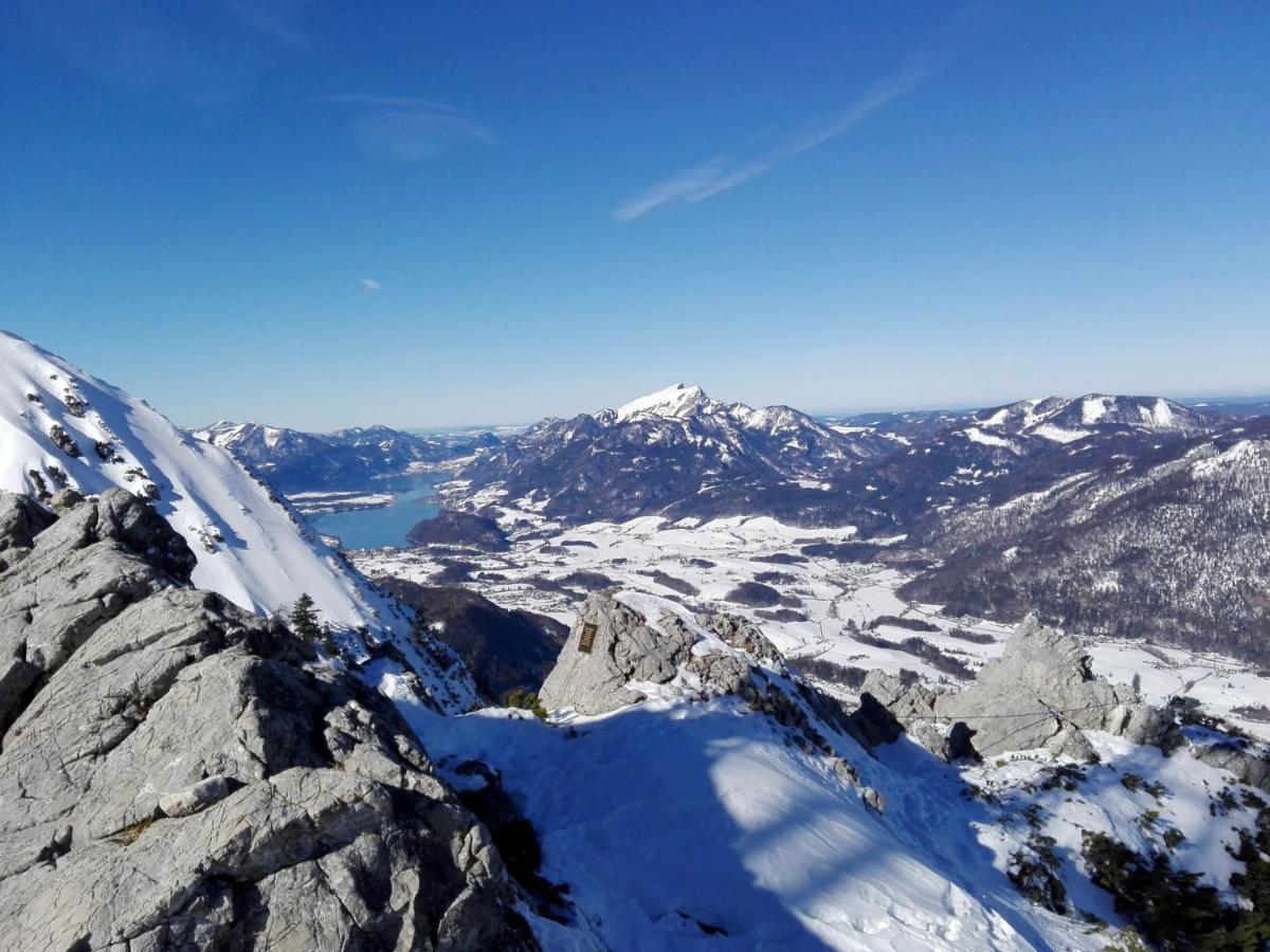 Alpenblick Suite バート・ゴイーザーン エクステリア 写真