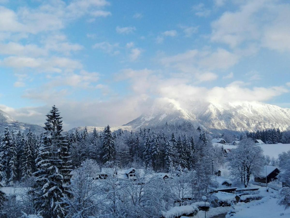 Alpenblick Suite バート・ゴイーザーン エクステリア 写真